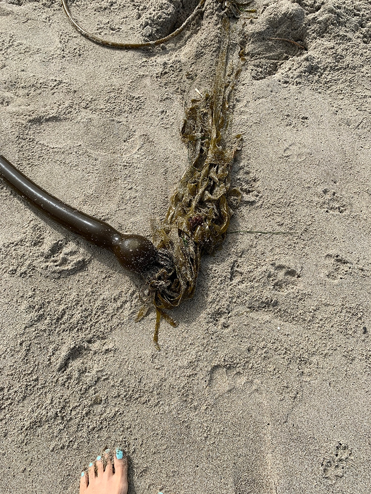 Lincoln city_018.jpg