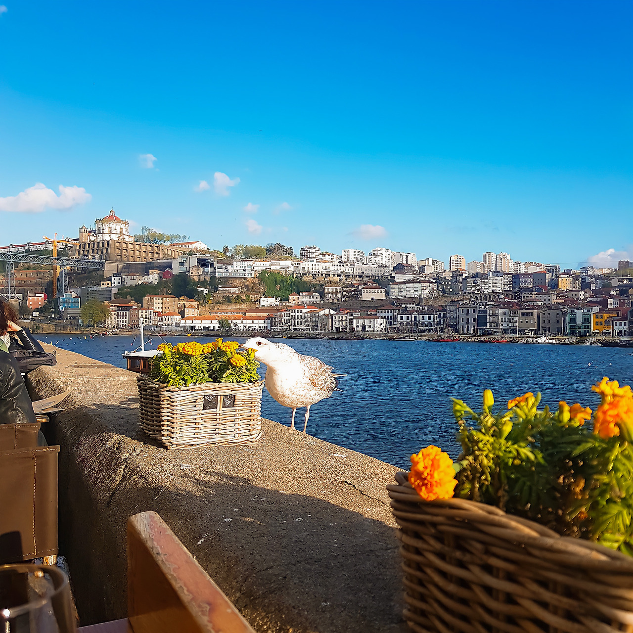 포르투 여행에세이_지안_7.jpg