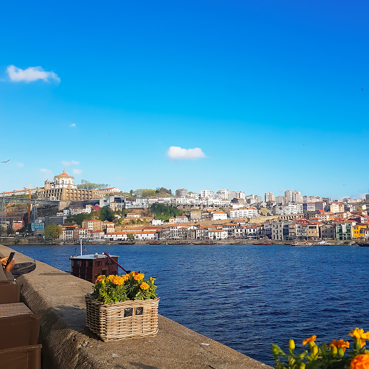 포르투 여행에세이_지안_6.jpg