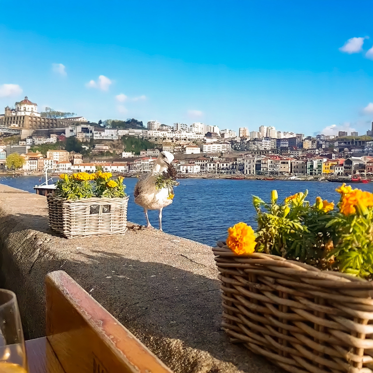 포르투 여행에세이_지안_8.jpg