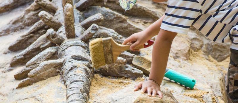 화석 캐내는 사진05.jpg