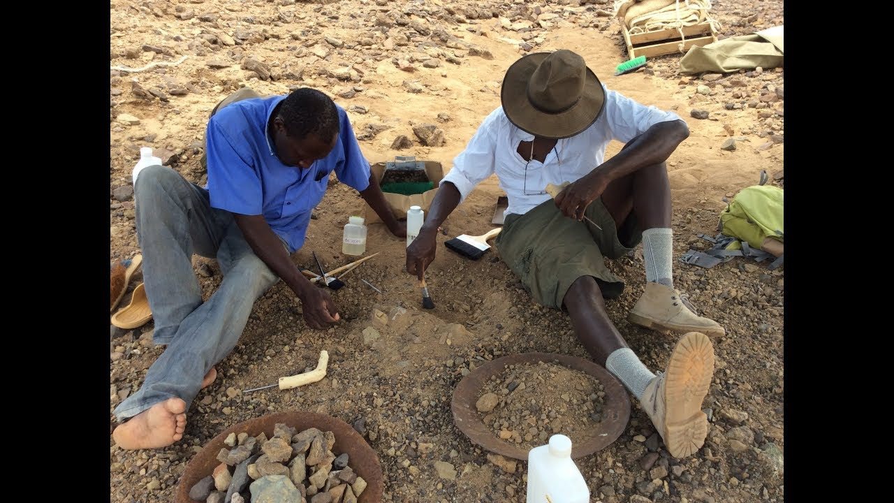 화석 캐내는 사진.jpg