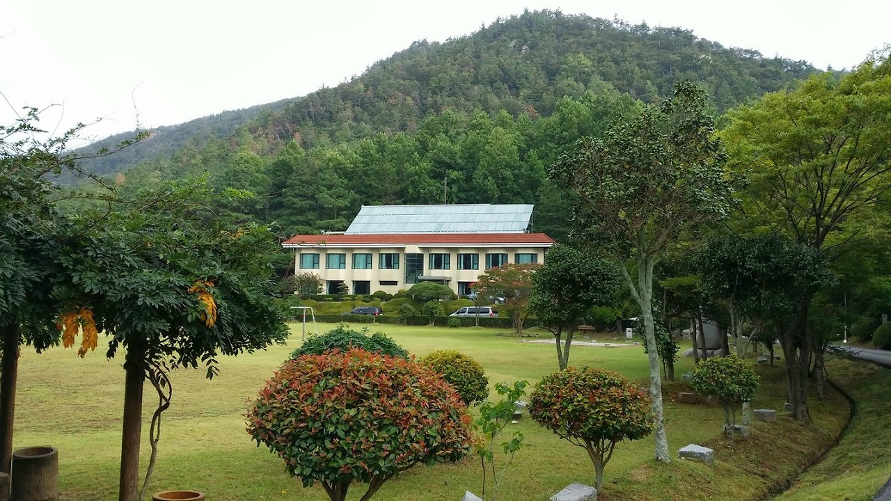 강진 초당림.jpg