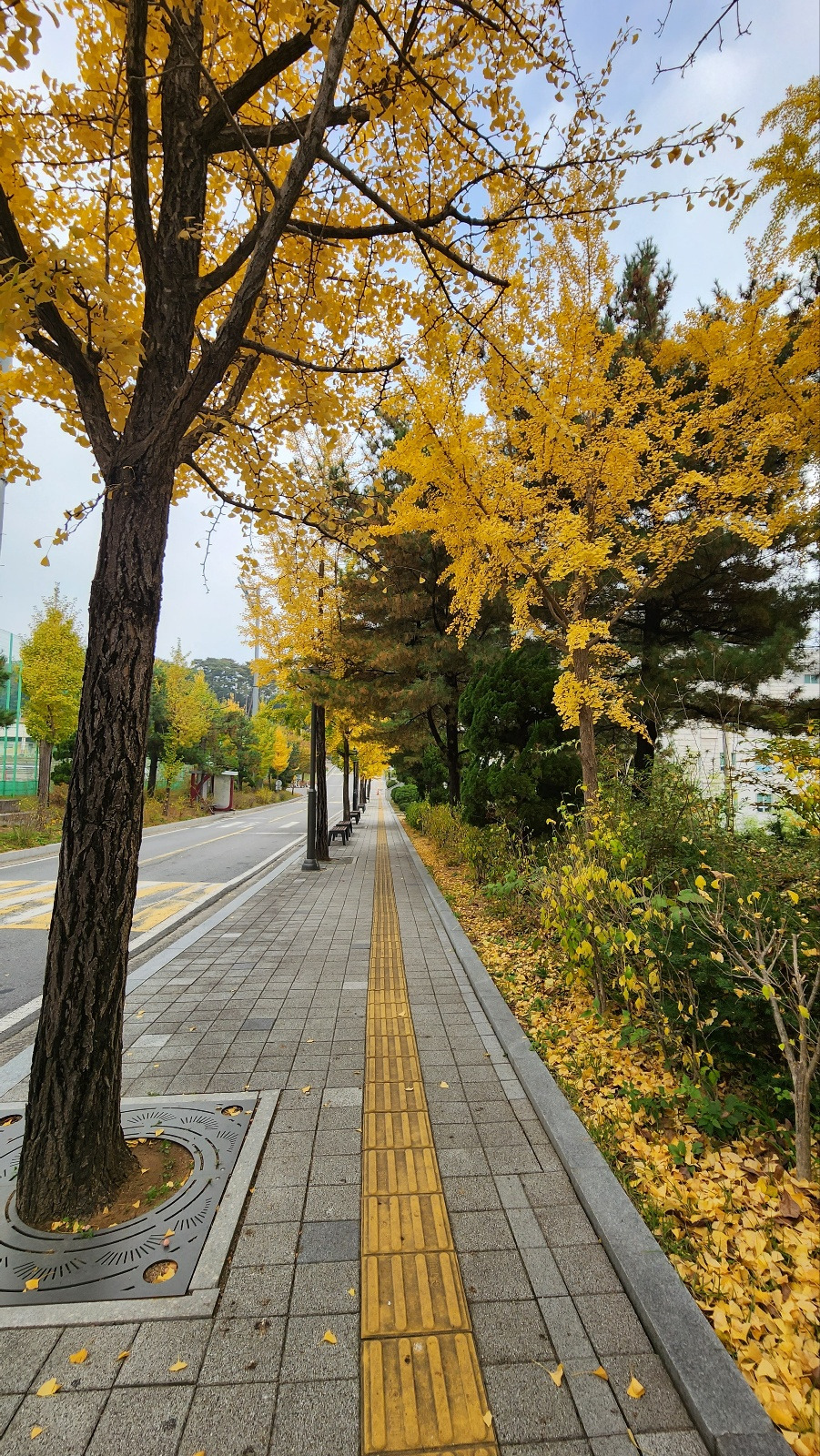 KakaoTalk_20231125_082118722_16.jpg