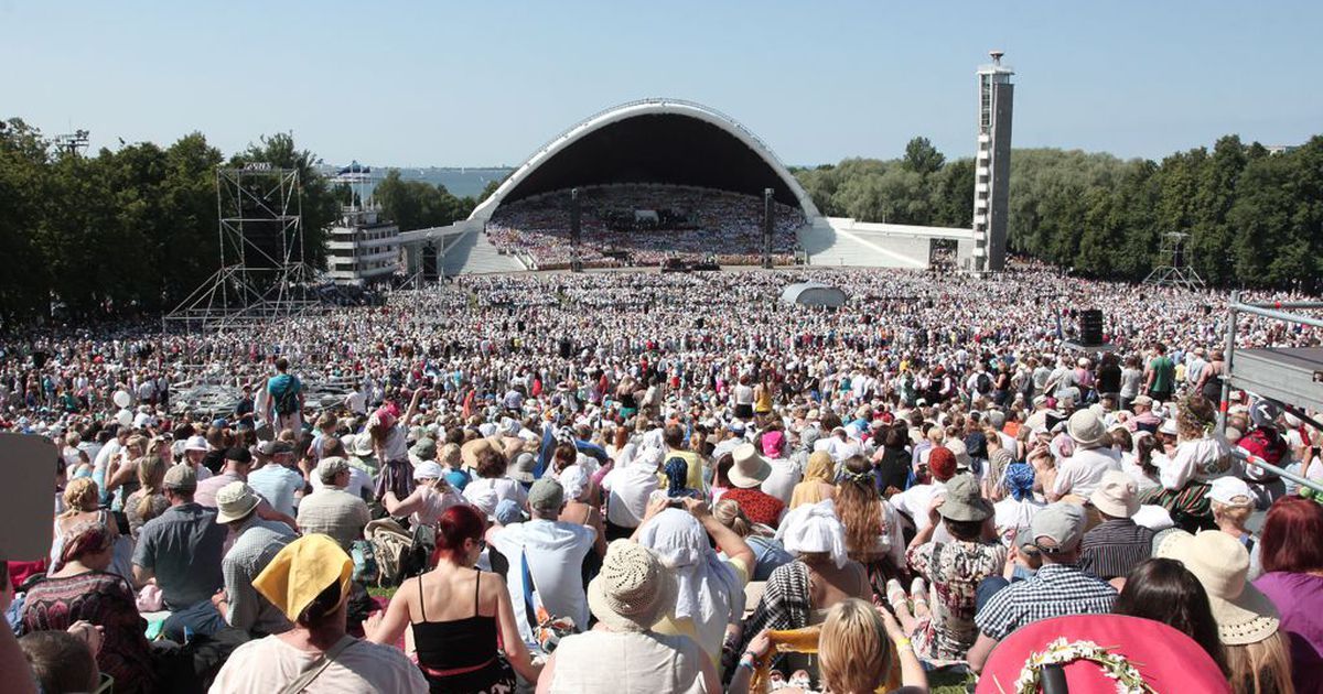 3181169t1h2ec7 (1).jpg