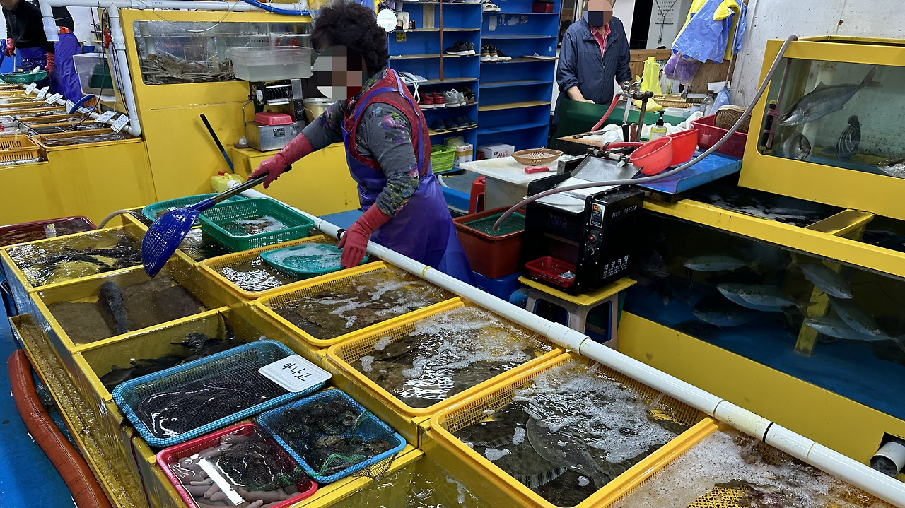 22. 치항회센타.jpg