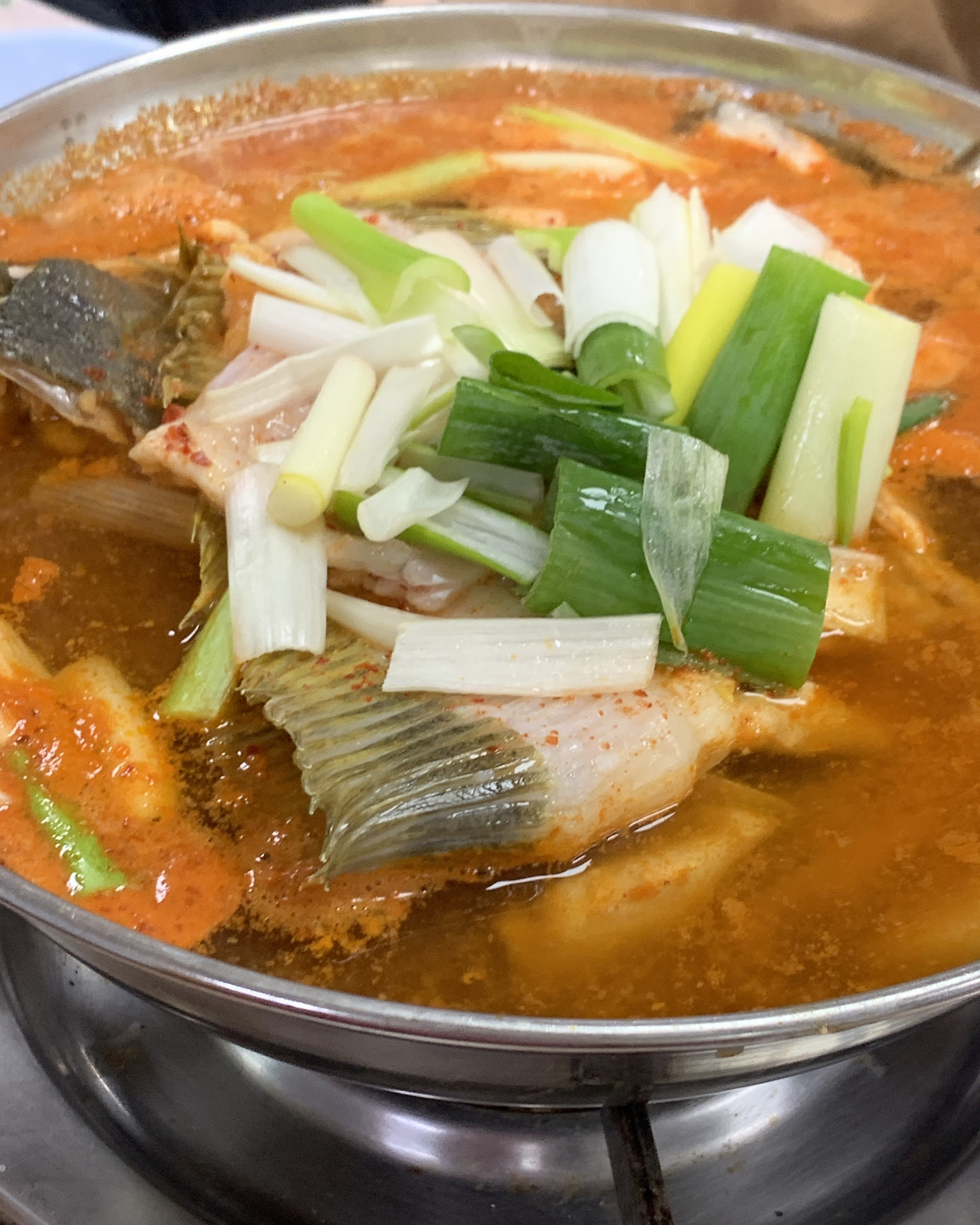 24. 치항회센타.jpg