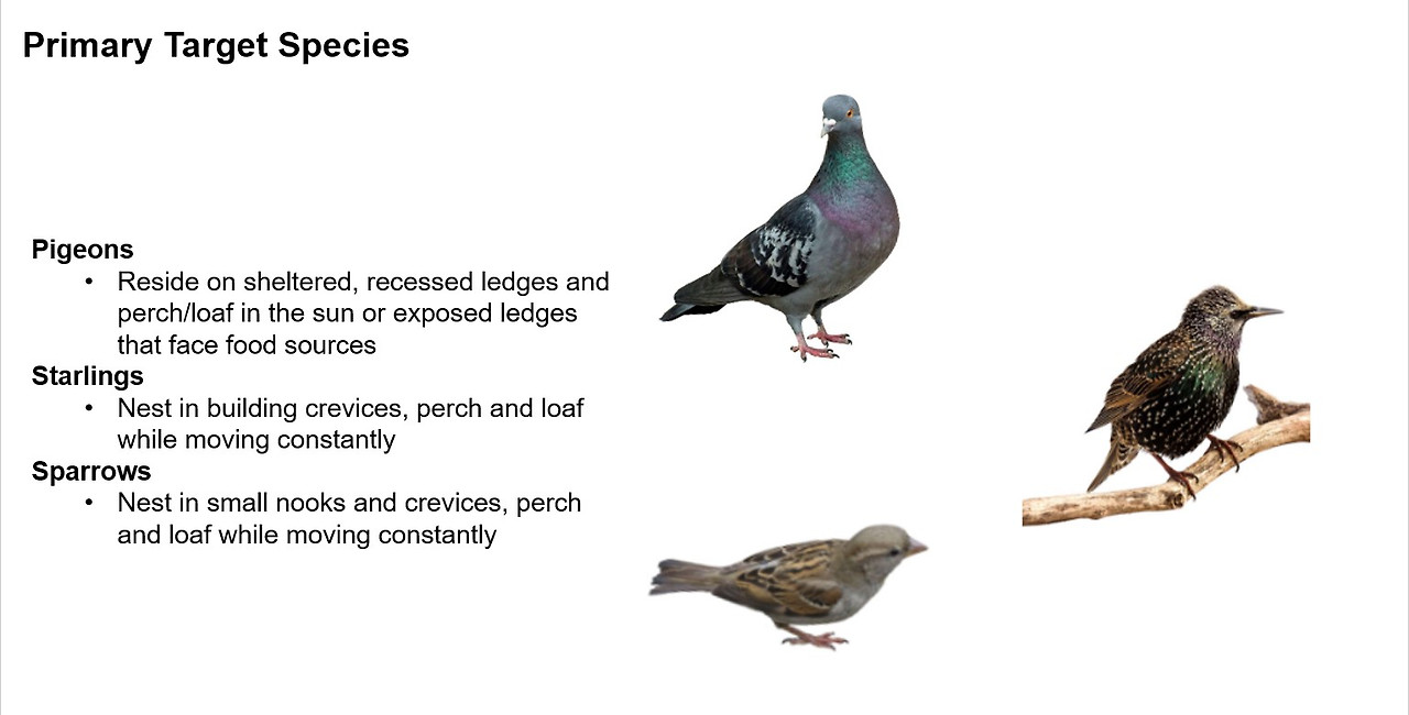 Screenshot 2025-01-07 082656.jpg