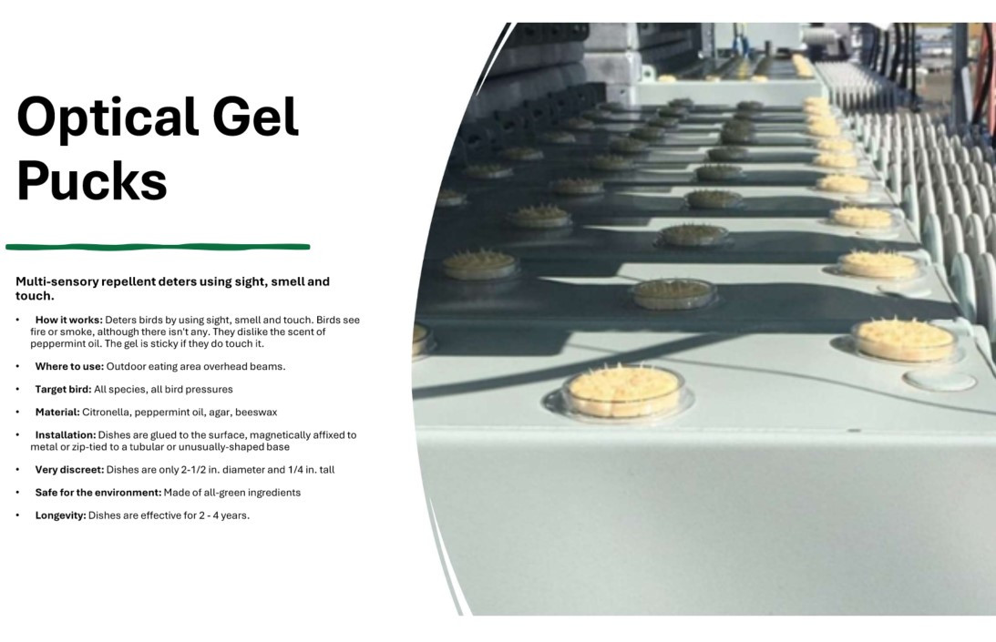 Screenshot 2025-01-08 220931.jpg