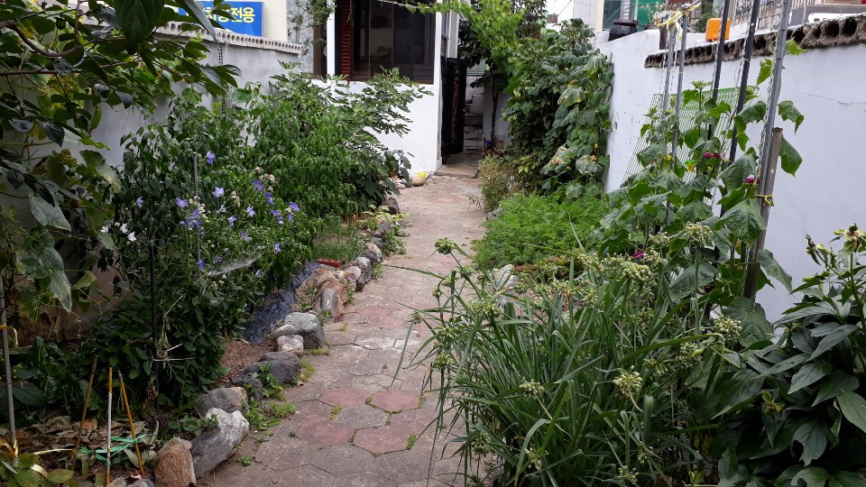 KakaoTalk_20190711_142445688(녹색마당, 대문에서 바라볼 때).jpg