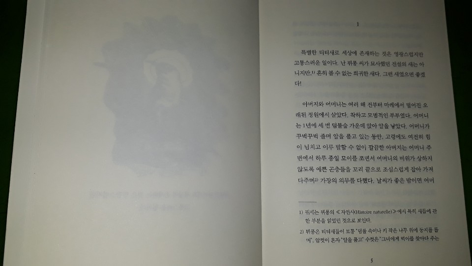 KakaoTalk_20190607_141809612(흰 티티새 이야기 첫 페이지).jpg