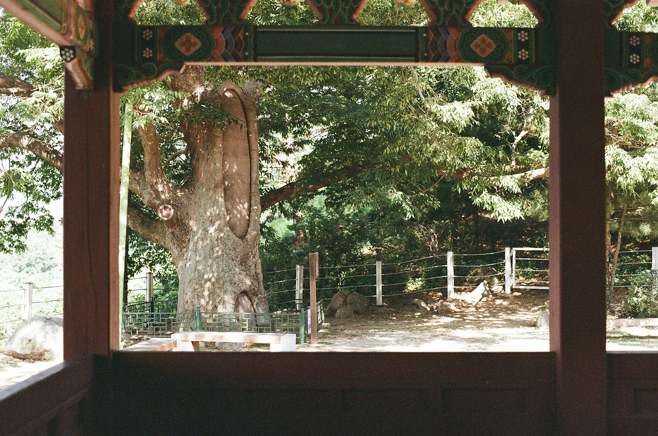 파주 화석정 (16).jpg