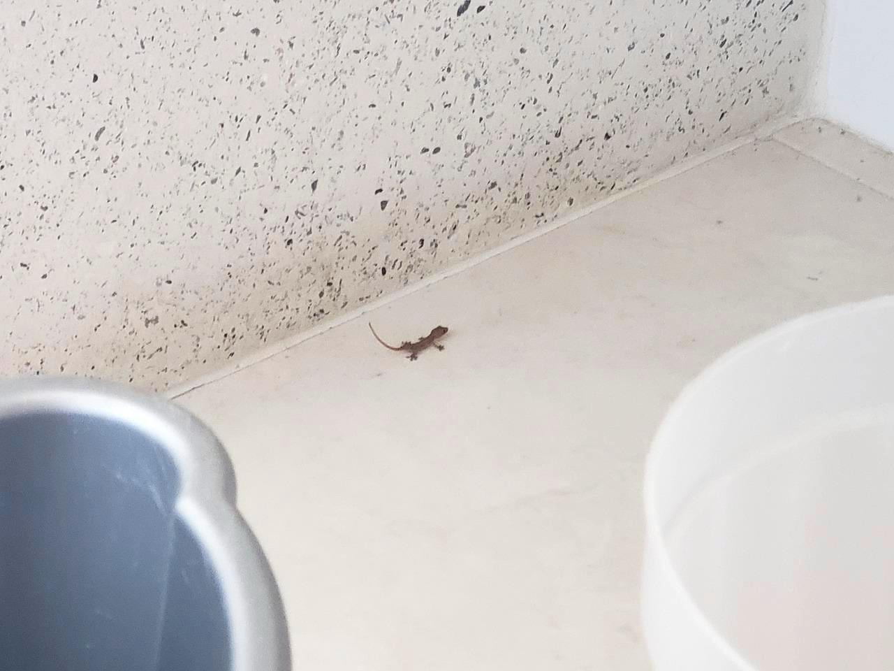 KakaoTalk_20200106_192531342_01 (1).jpg