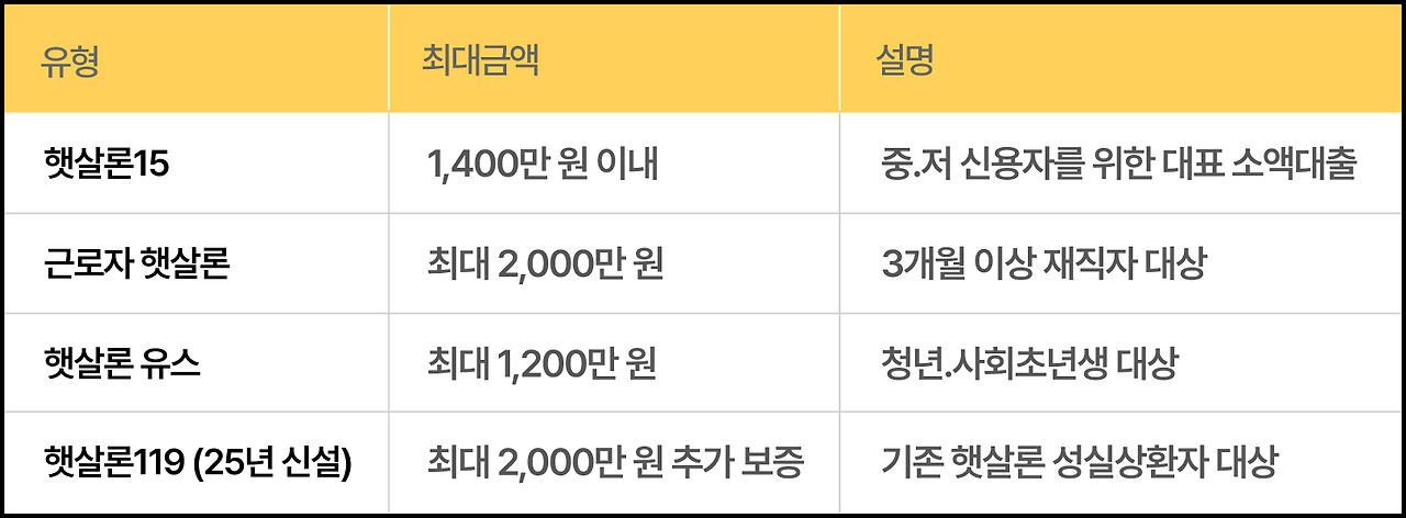 정부지원 대출금액.jpg