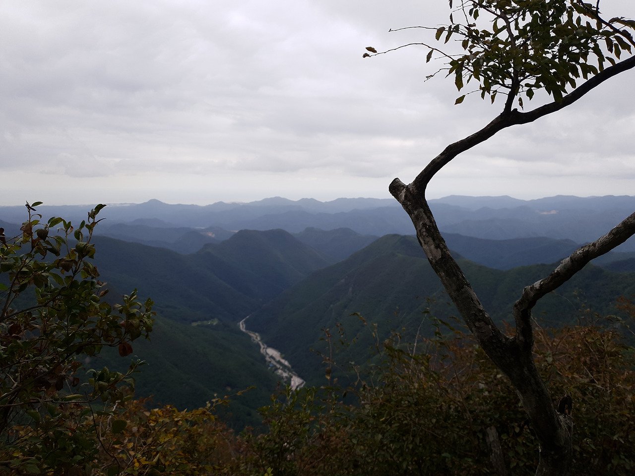 02 덕항산 (17).jpg