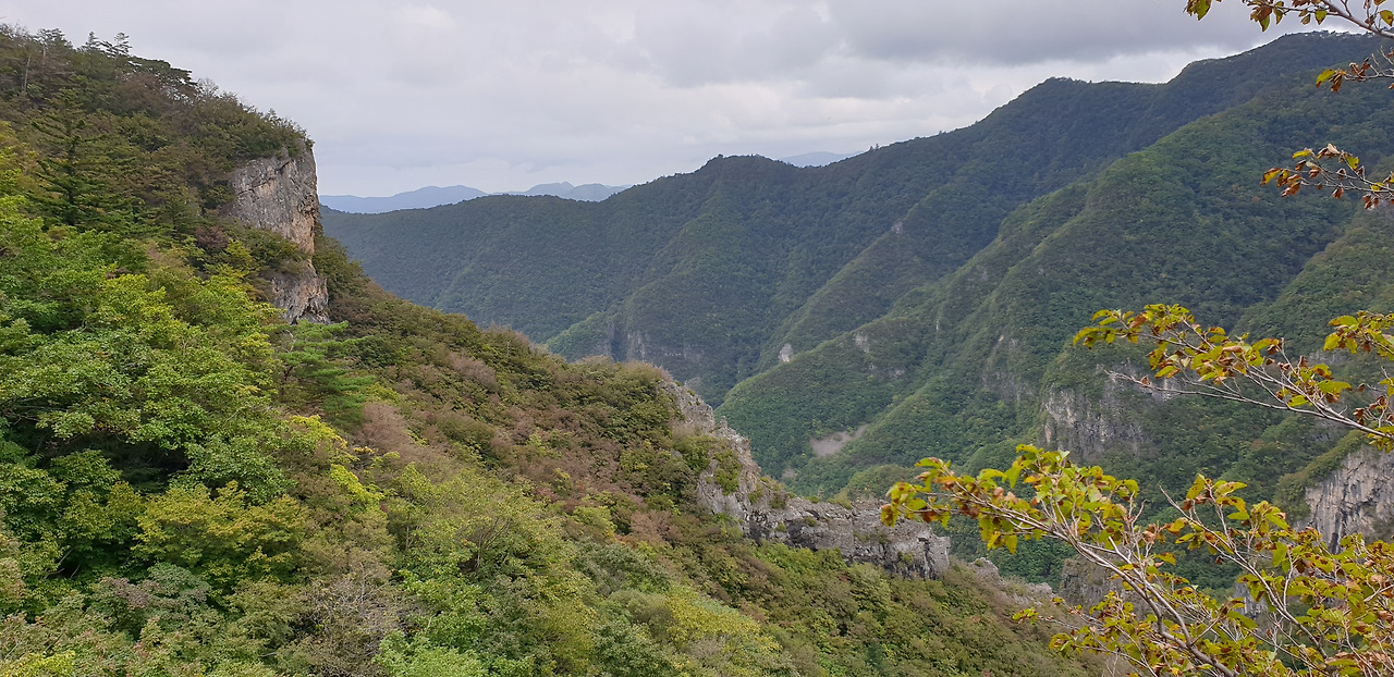 02 덕항산 (23).jpg