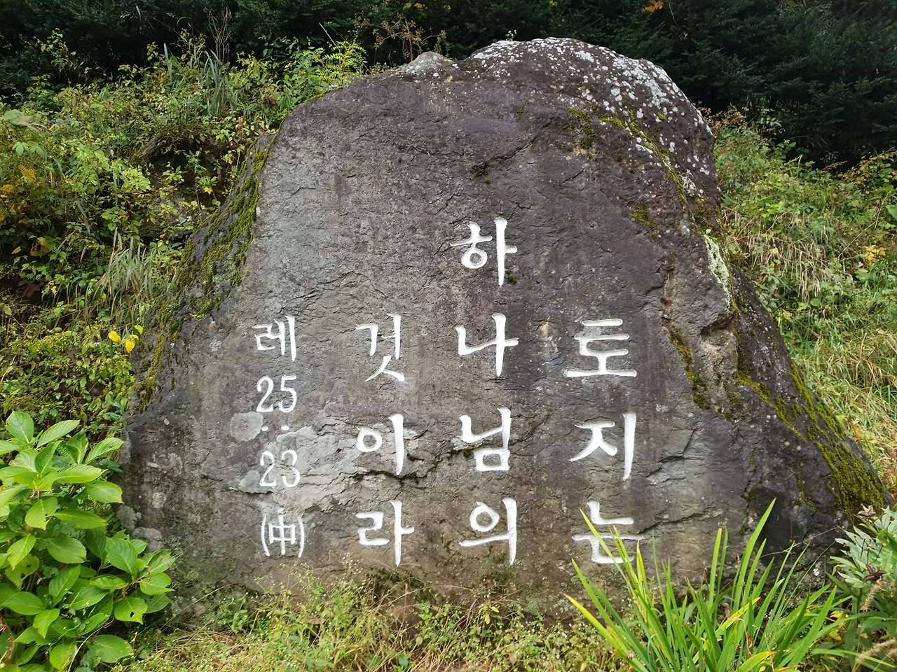 02 덕항산 (8).jpg