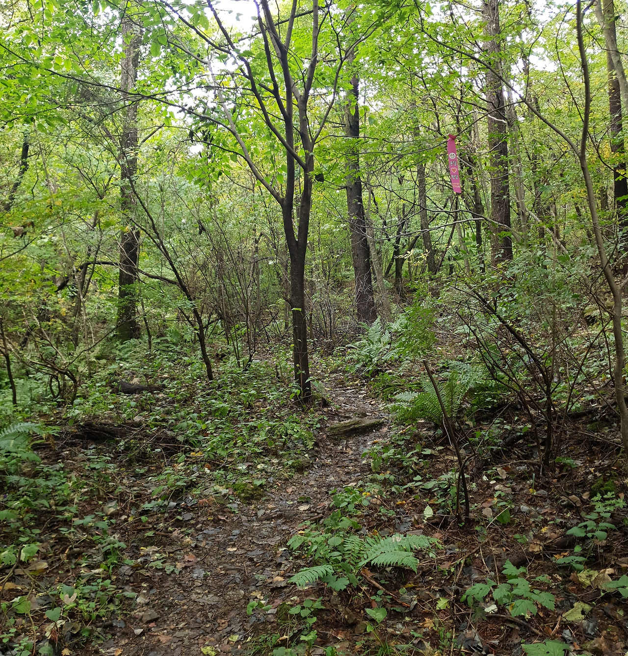 02 덕항산 (6).jpg