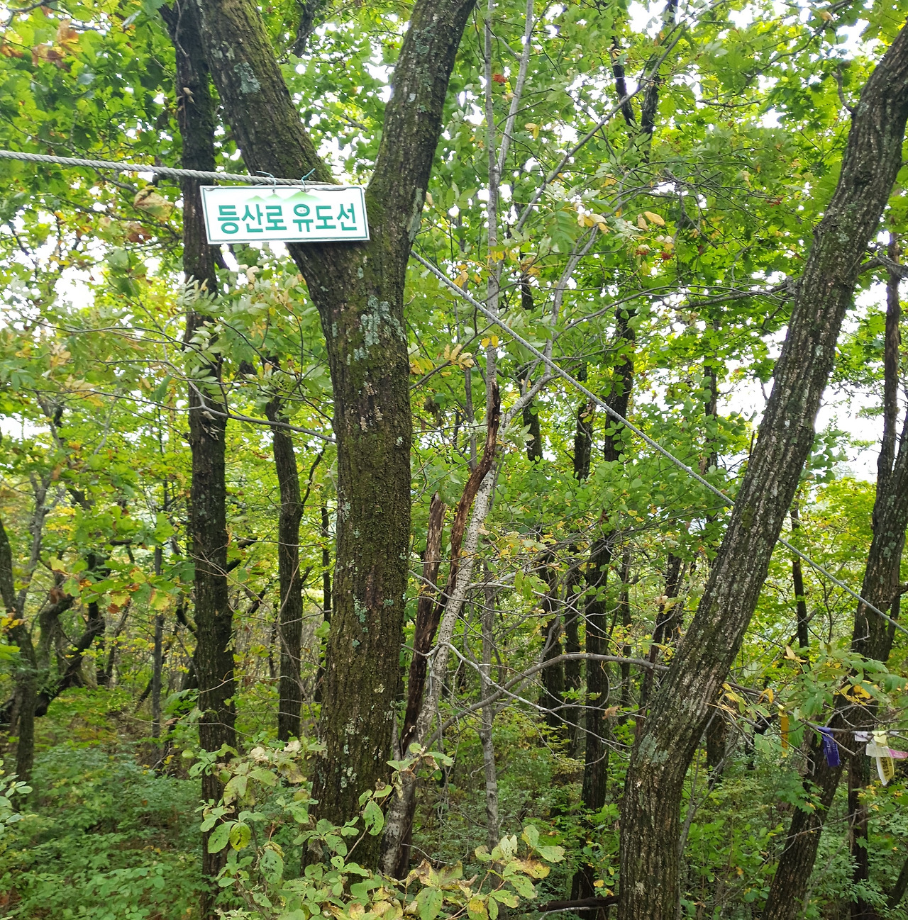 02 덕항산 (14).jpg