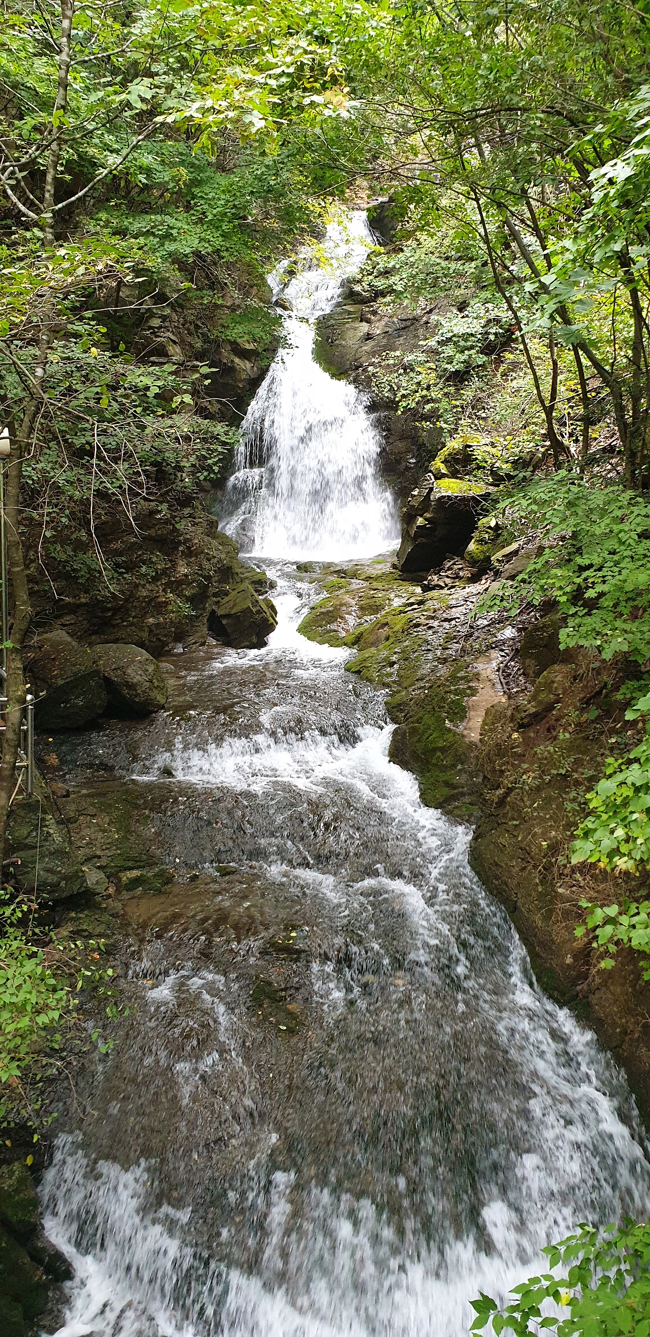 02 덕항산 (29).jpg