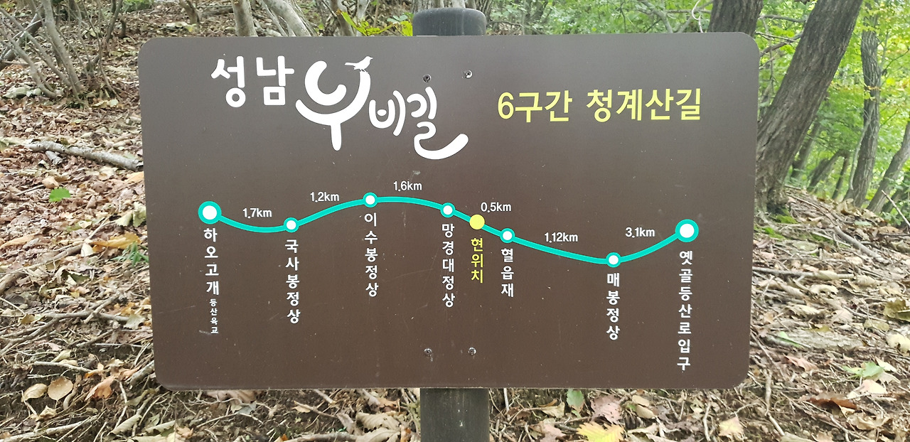 01 청계산 (11).jpg