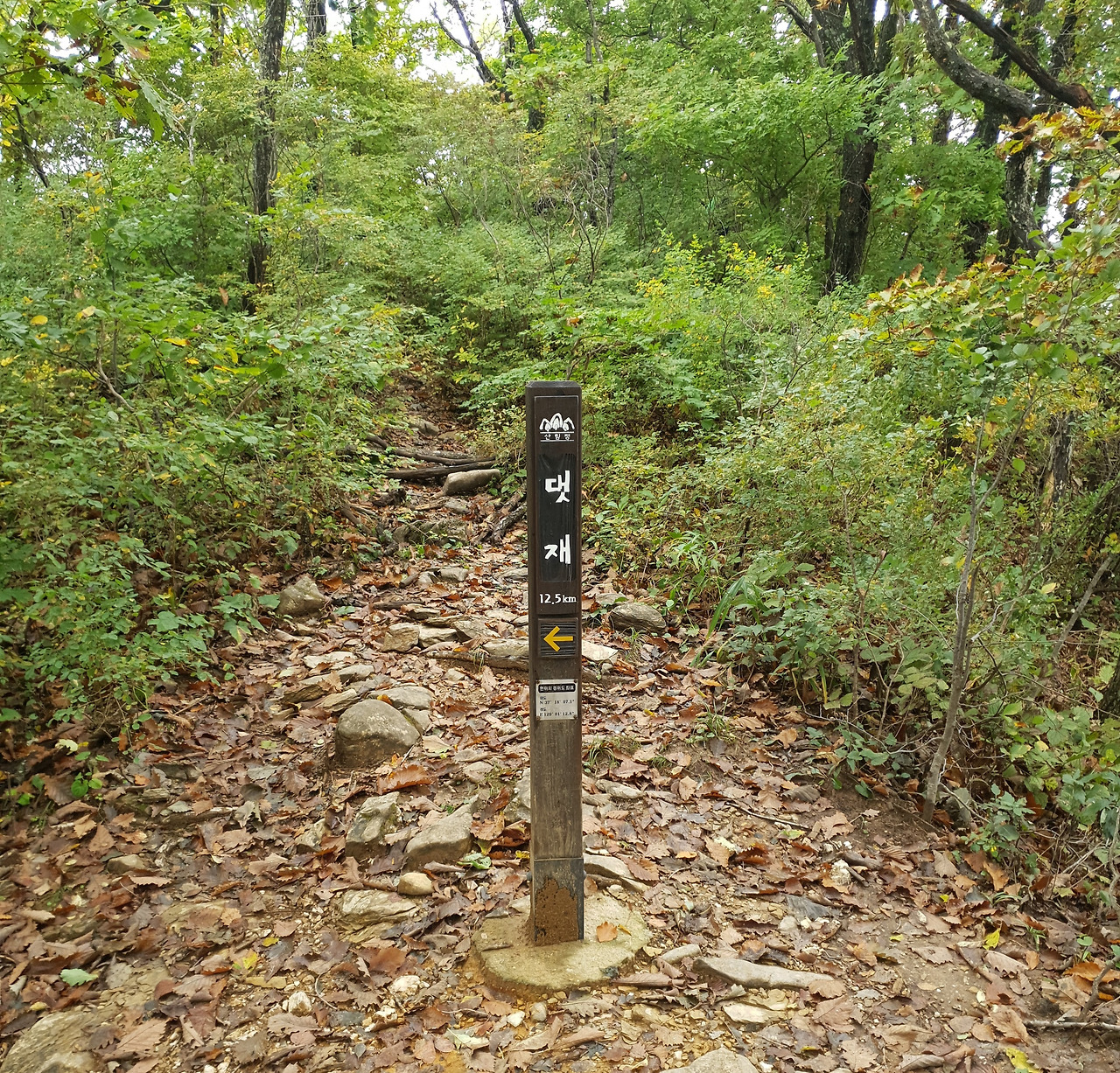 02 덕항산 (12).jpg