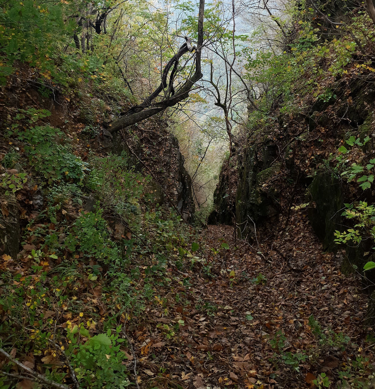 02 덕항산 (15).jpg