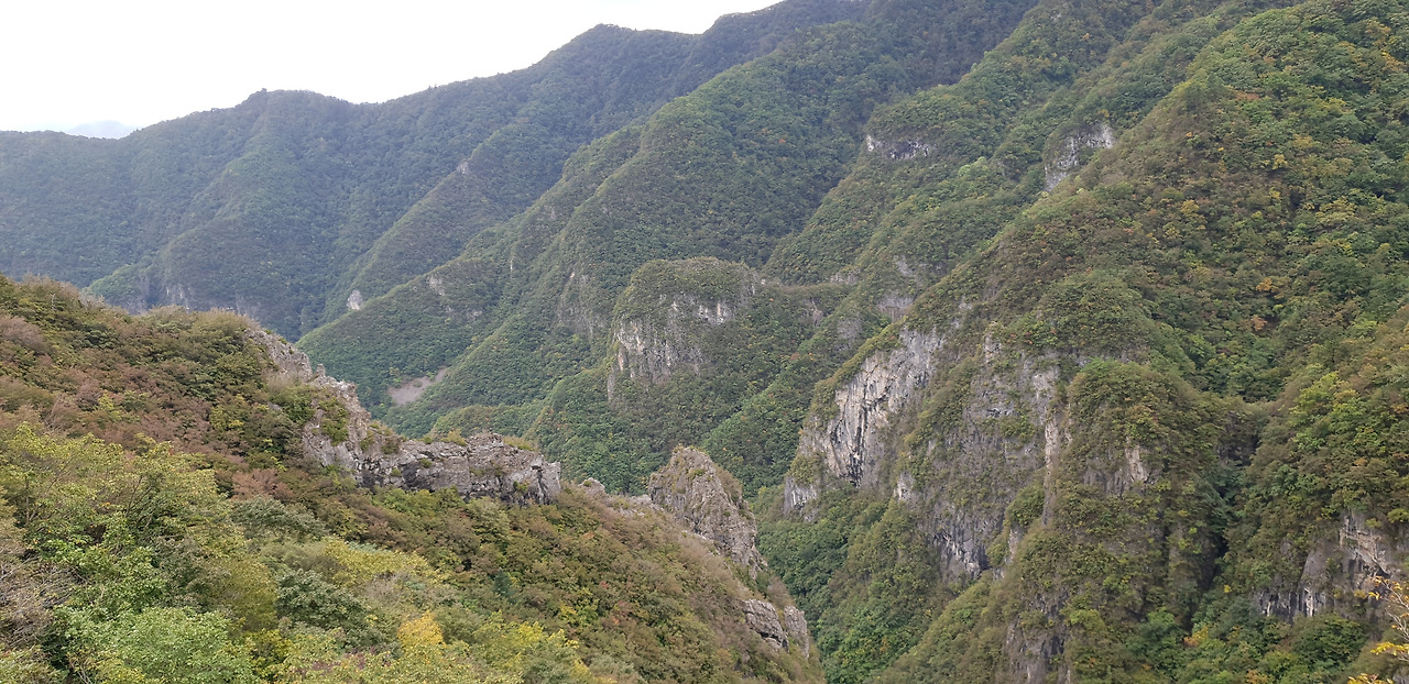 02 덕항산 (24).jpg