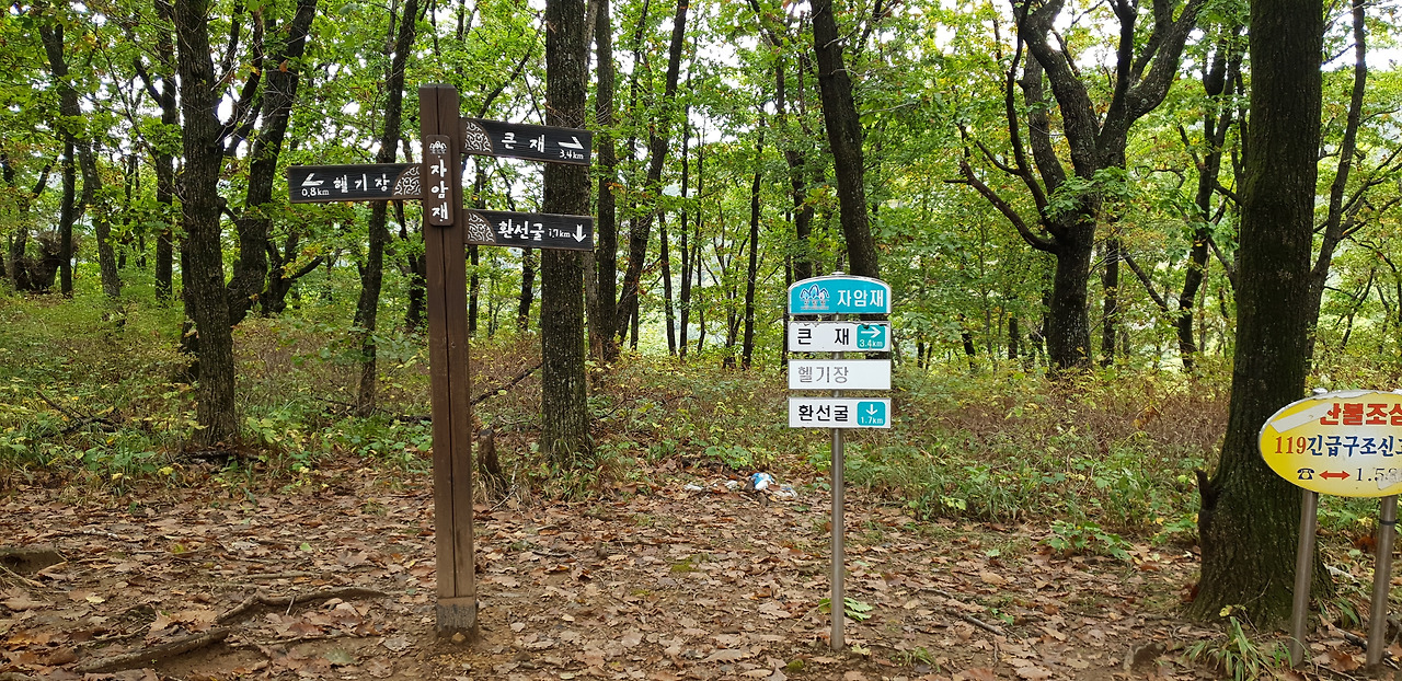 02 덕항산 (22).jpg