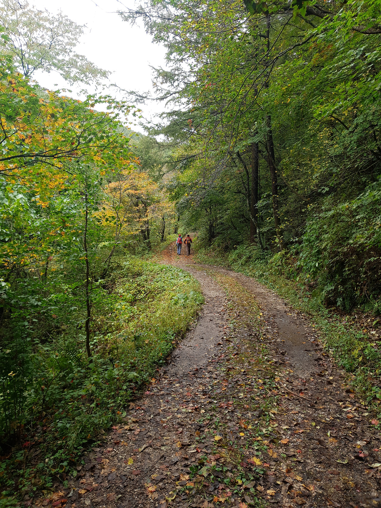 02 덕항산 (10).jpg