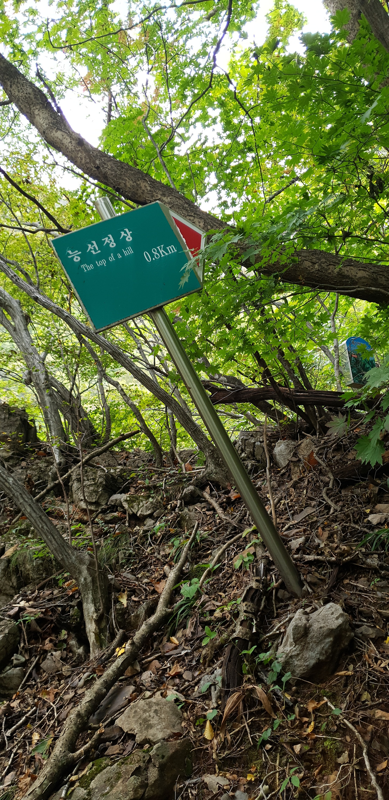 02 덕항산 (25).jpg