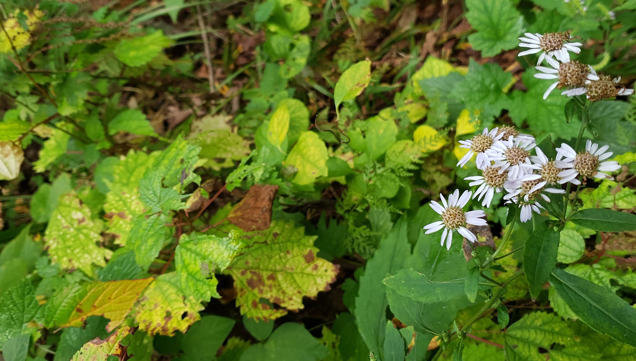 01 청계산 (10).jpg