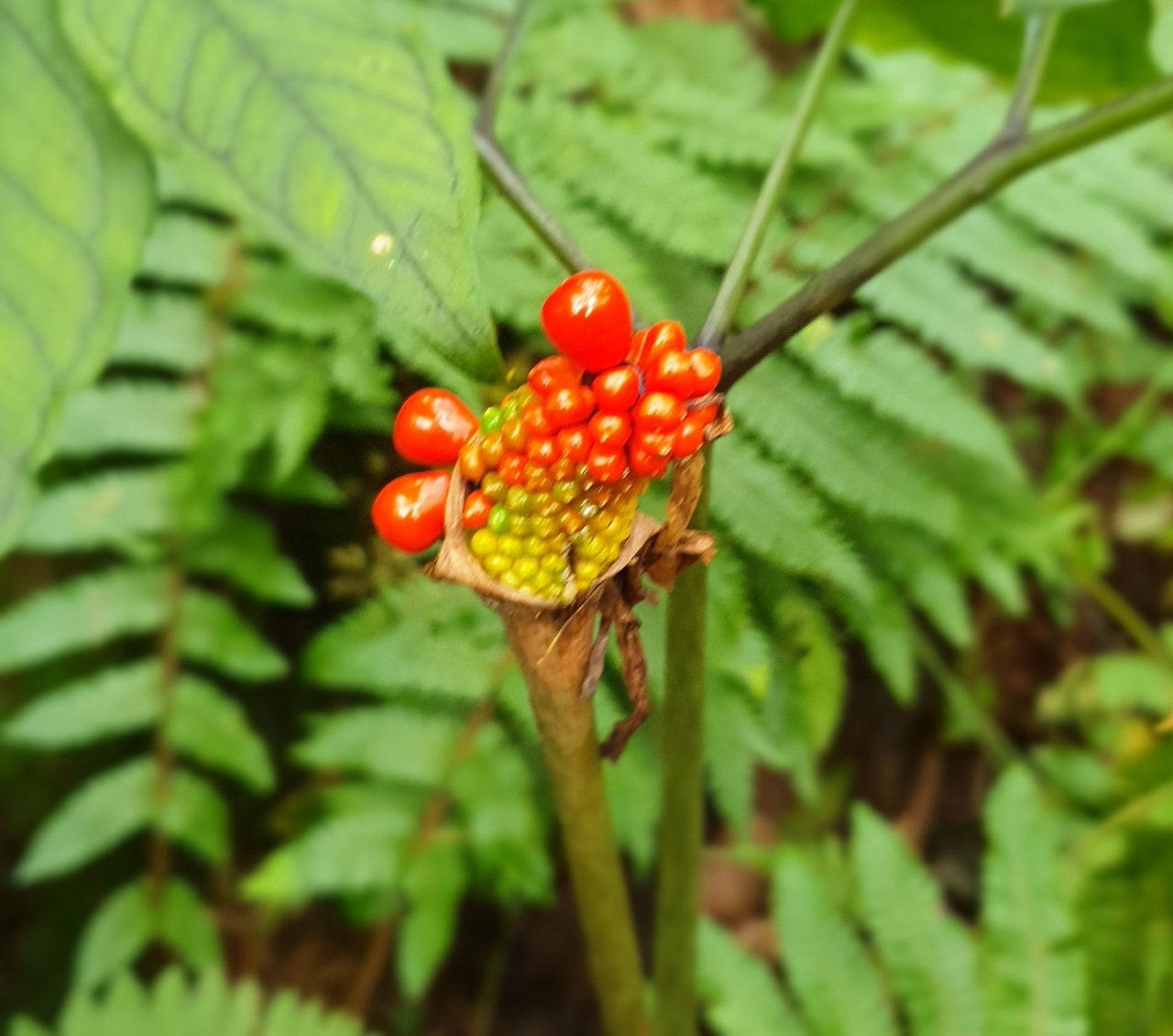 02 덕항산 (21).jpg