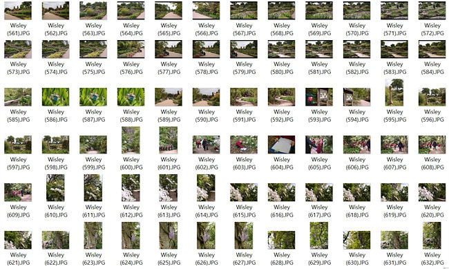 2017년 5월 9일 Wisley Garden (645).jpg