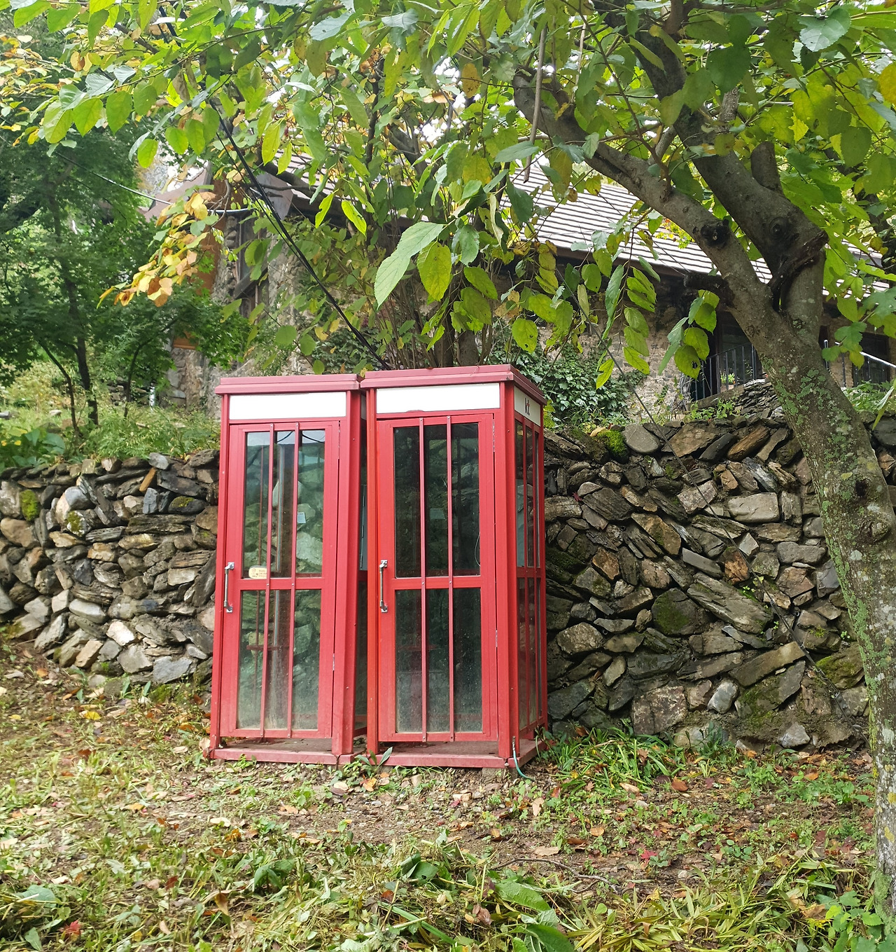 02 덕항산 (9).jpg