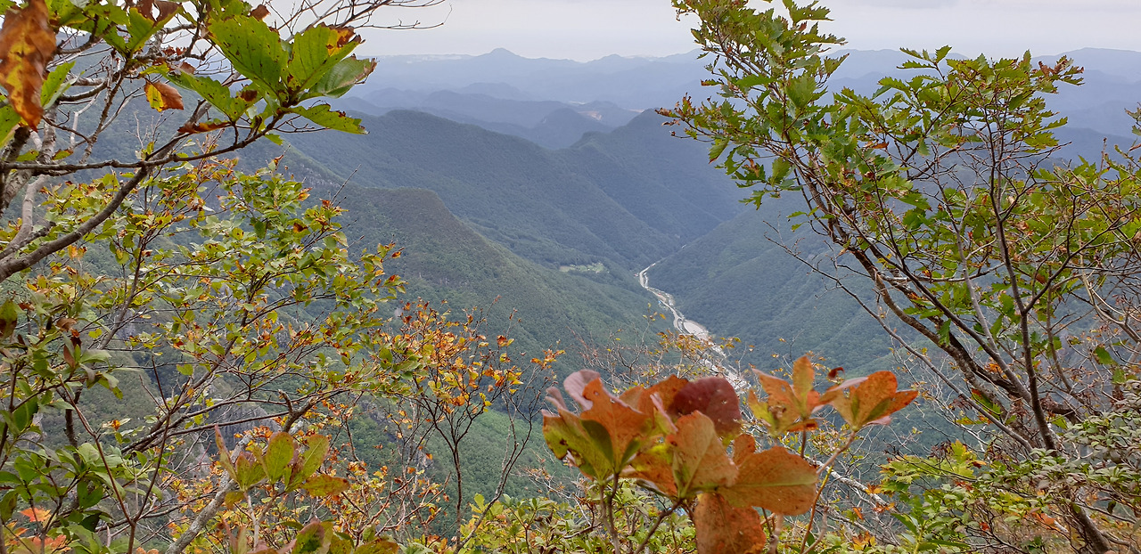 02 덕항산 (19).jpg