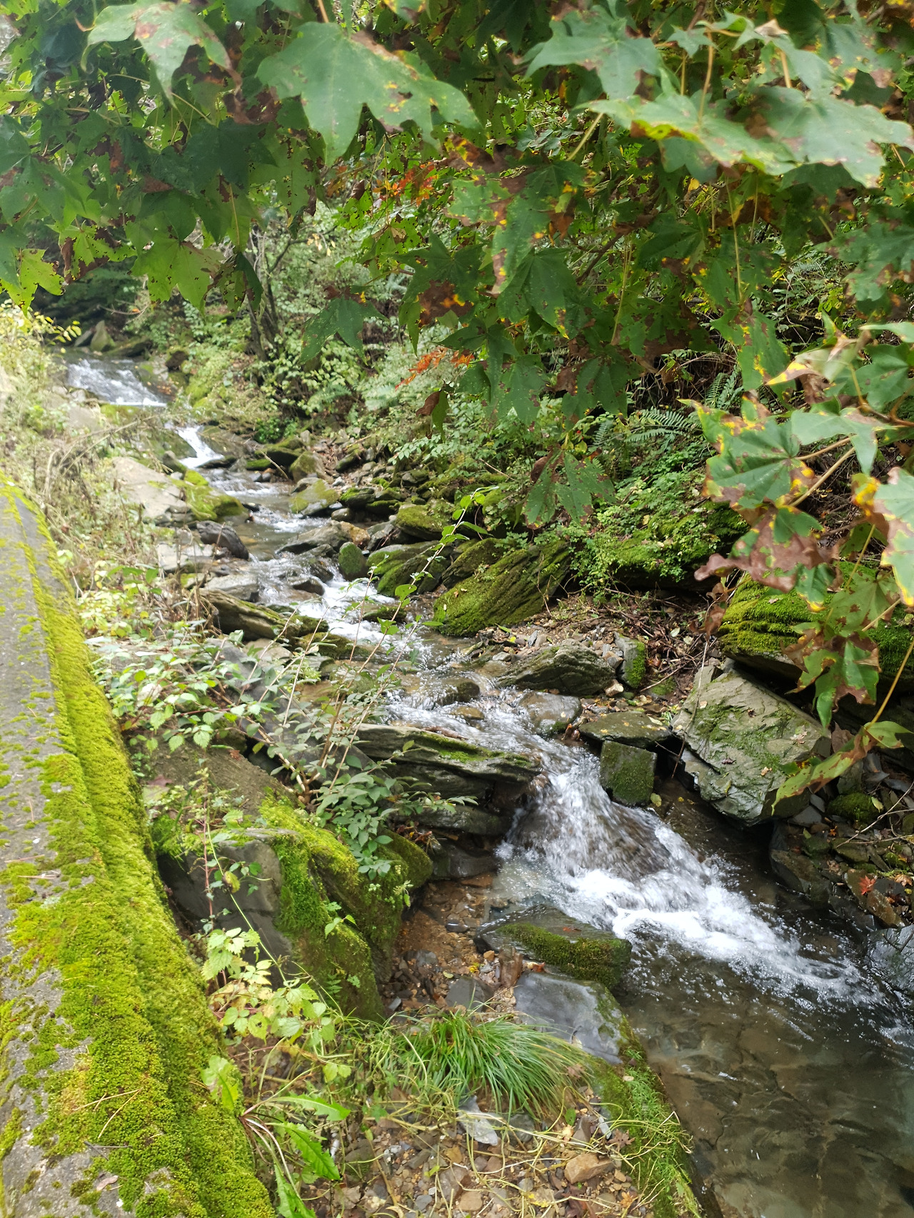 02 덕항산 (7).jpg