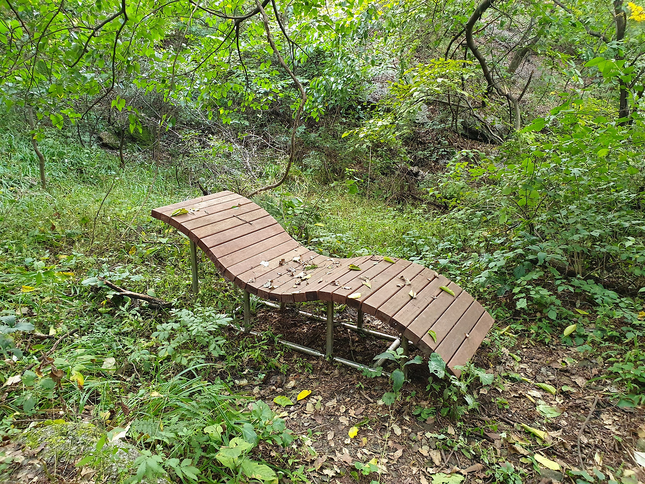 01 청계산 (9).jpg