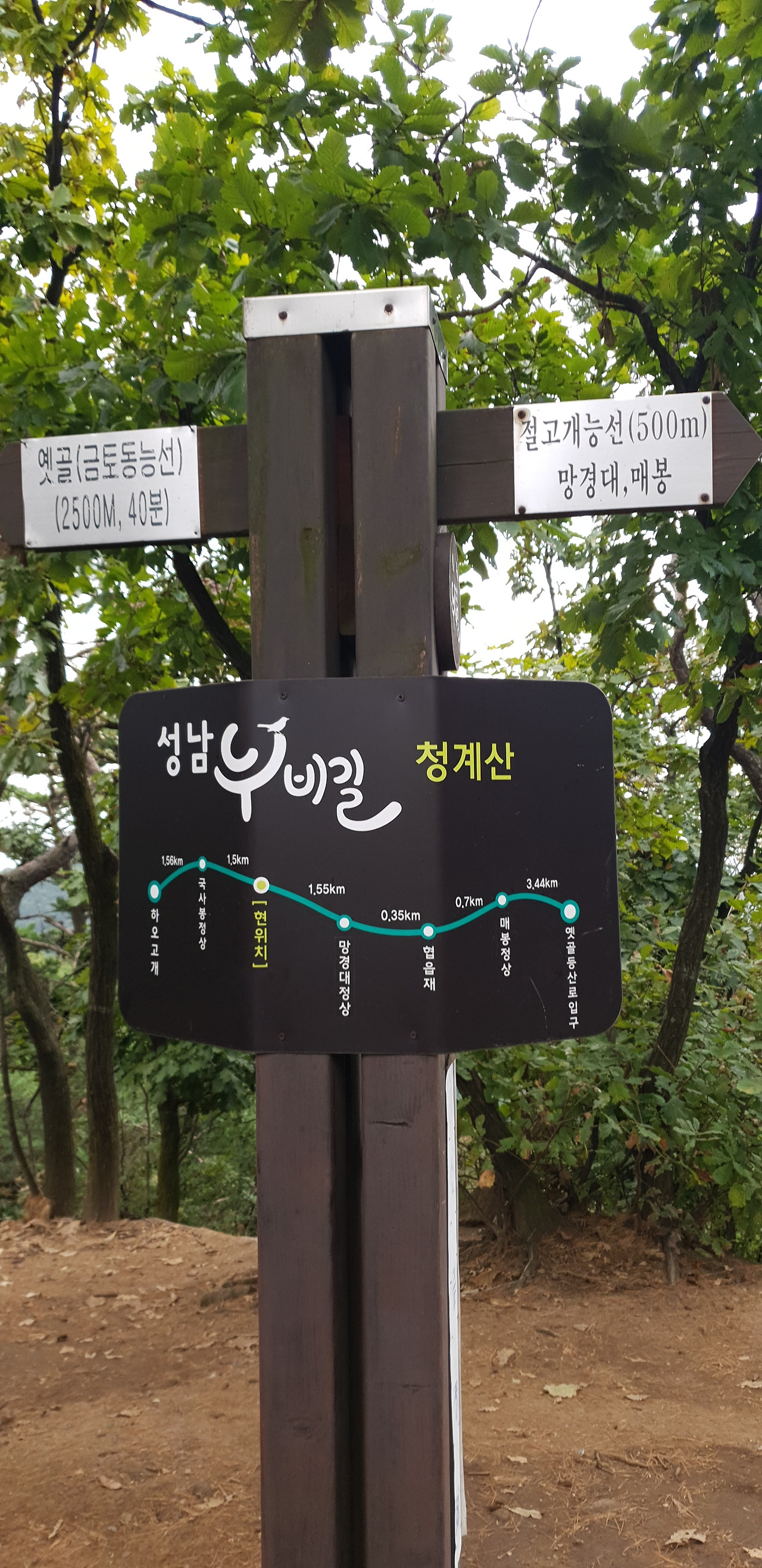 01 청계산 (15).jpg