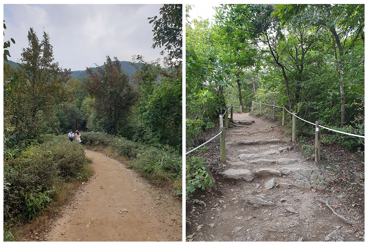 01 청계산 (6).jpg