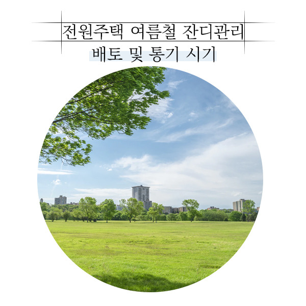 20190826_예쁜목조주택_공간제작소_05.jpg
