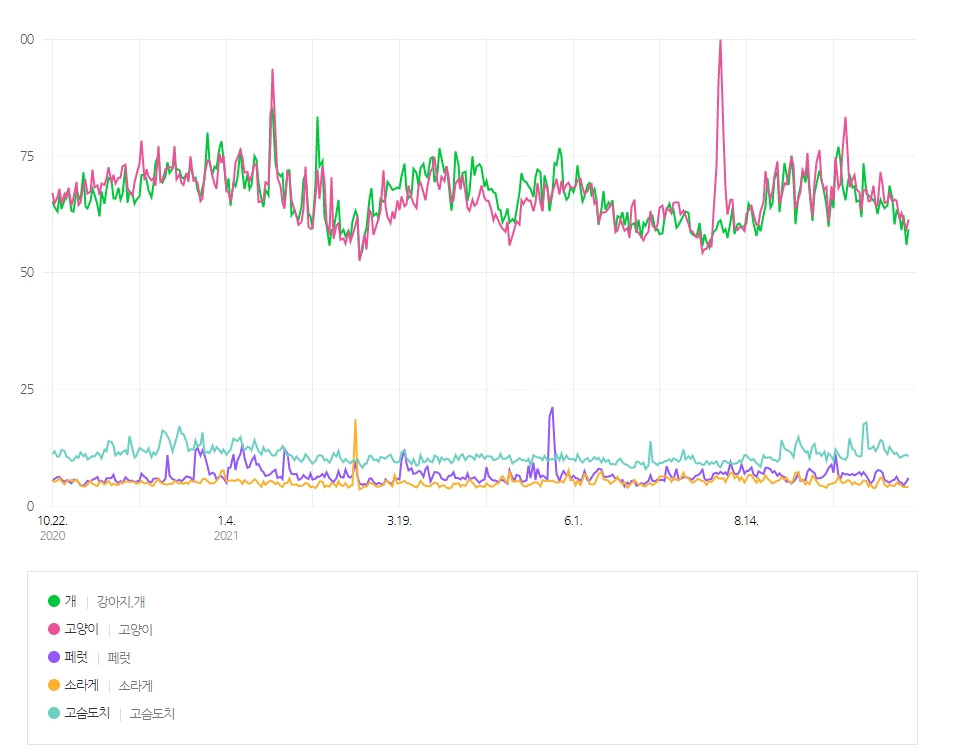 애완동물 검색어.jpg