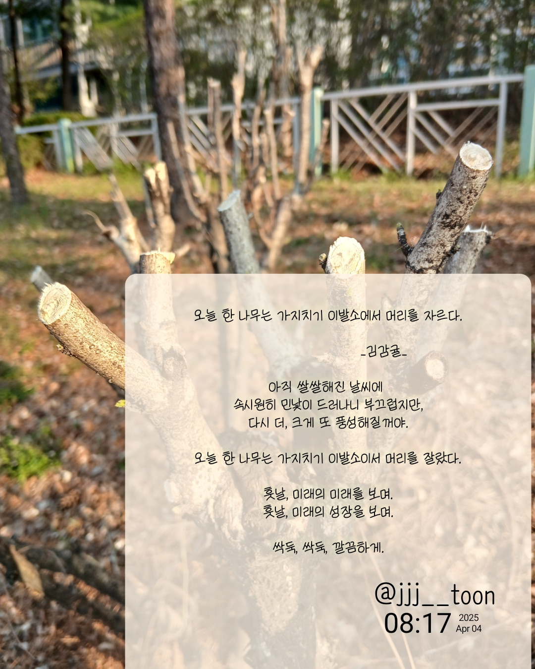 가지치기, 희망