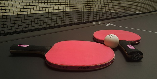 ping-pong-g74a98137c_640.jpg