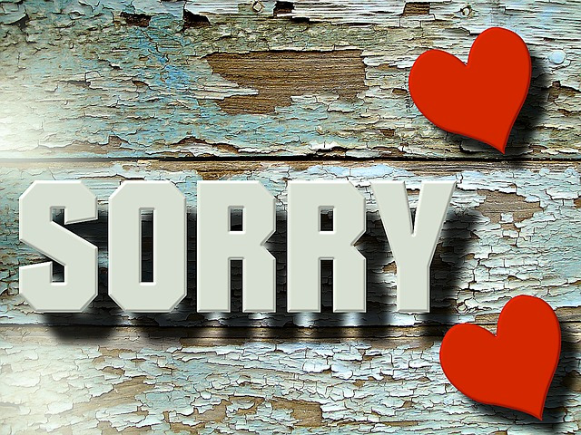 sorry-ga3ed96df8_640.jpg