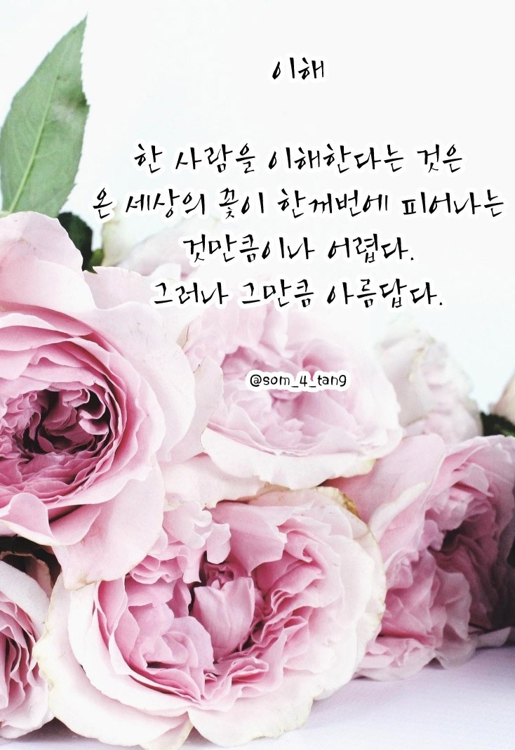 무료 카지노 게임