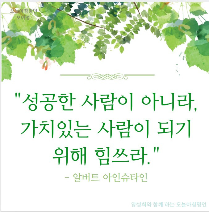 화면 캡처 2025-05-27 075536.jpg