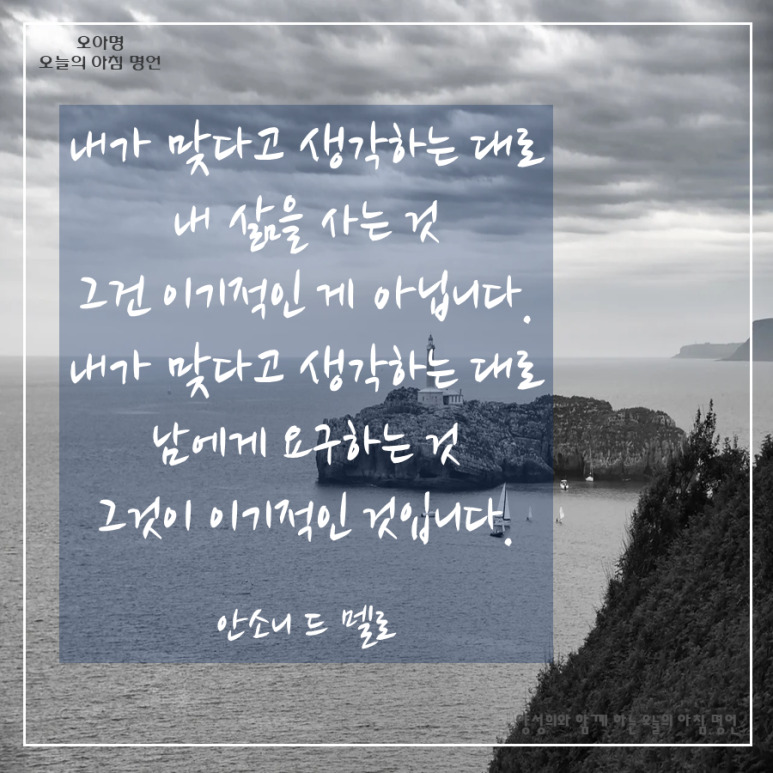 카지노 쿠폰