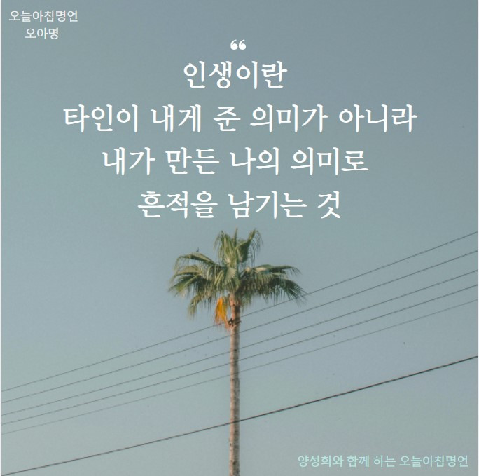 화면 캡처 2025-05-24 145116.jpg