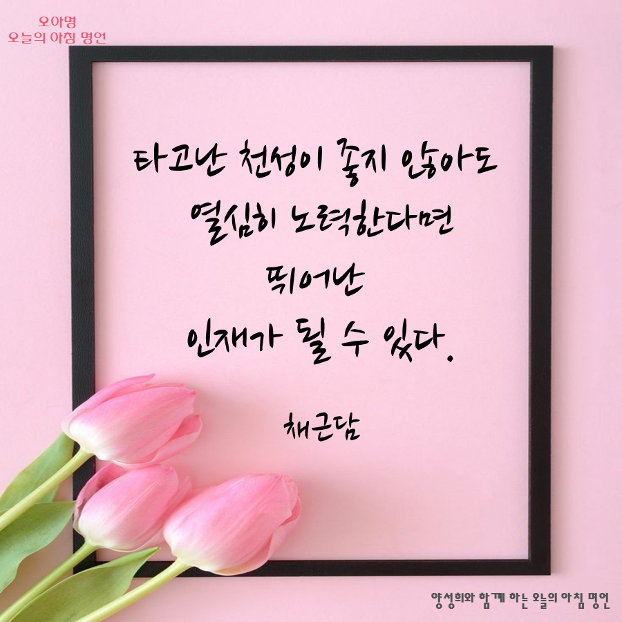 카지노 쿠폰